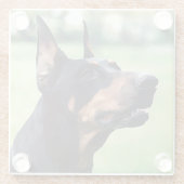 Träumerische Dobermannpinscher-Gesichts-Malerei Glasuntersetzer (Rückseite)