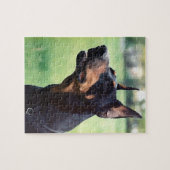 Träumerische Dobermannpinscher-Gesichts-Malerei Puzzle (Horizontal)