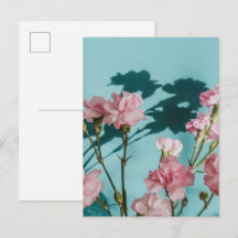 Träumerische rosa Nelken auf blauem Hintergrund