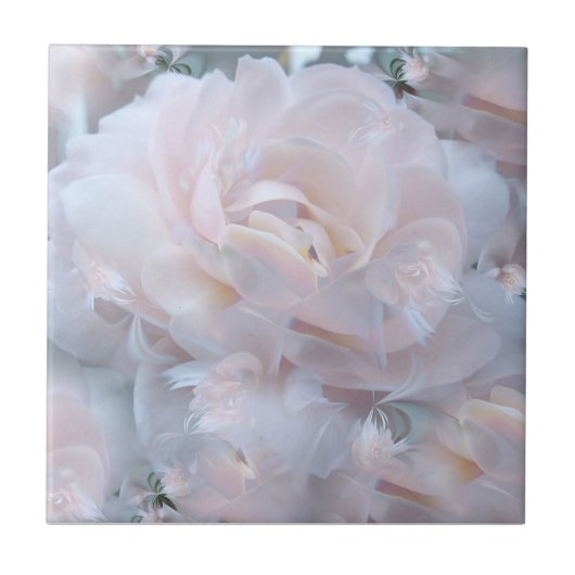 Träumerische Rose Fliese (Vorderseite)