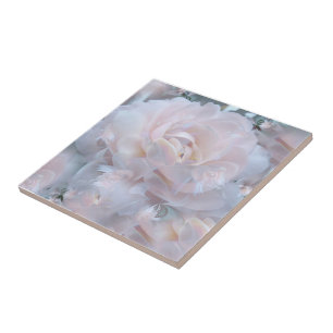 Träumerische Rose Fliese