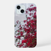 Träumerische rote Bougainvillea-Blumenfotografie i