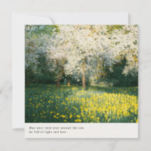 Träumerische und sanfte Frühlingsblüten ästhetisch