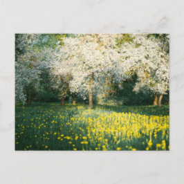 Träumerischer Frühlingsobstgarten Postkarte