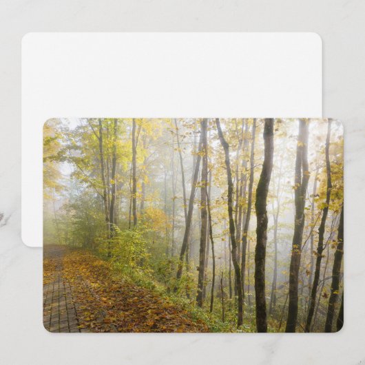 Träumerischer Herbstpark Feiertagskarte (Vorne/Hinten)
