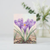 Träumerischer lila Krokus-Frühlingsblüte Postkarte (Stehend Vorderseite)