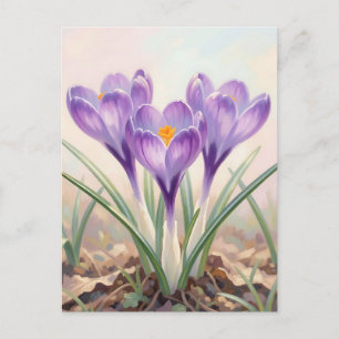 Träumerischer lila Krokus-Frühlingsblüte Postkarte