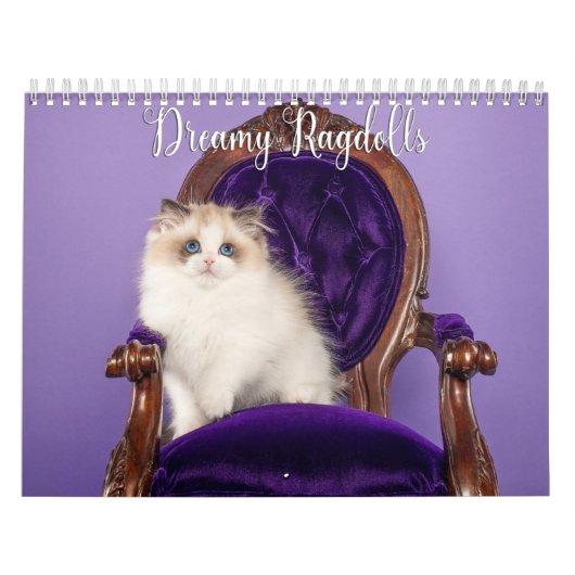 Träumerischer Ragdoll-Katzen und Kätzchen-Kalender Kalender (Titelbild)