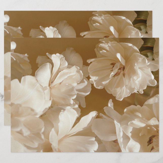 Träumerisches beiges Blumen Scrapbook Papier (Vorne/Hinten)
