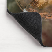 Traumfänger-Reihe - Geist der Eulen Mousepad (Ecke)