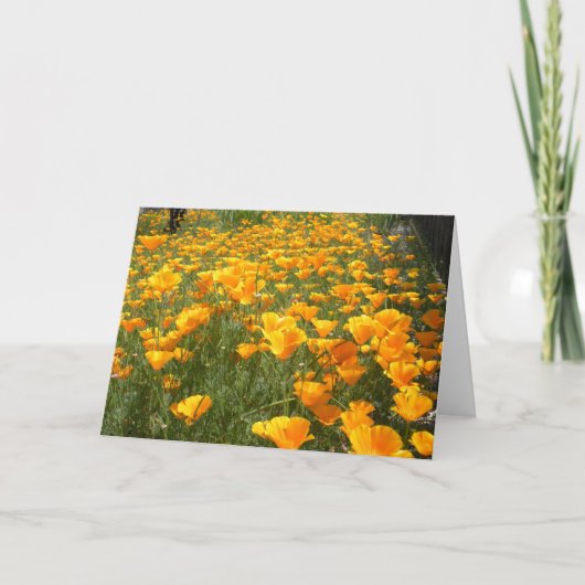 Traumfeld Karte (Vorderseite)