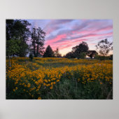 Traumfeld Poster (Vorne)