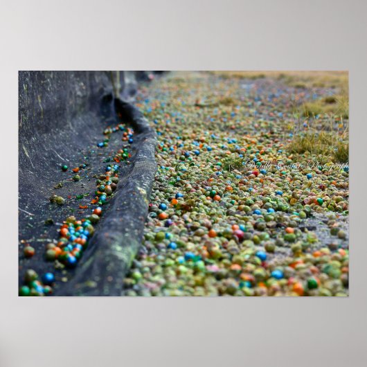 Traumfeld Poster (Vorne)