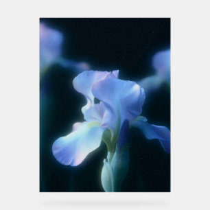Traumhaft blaue Iris-Blumen-Wandkunstposter Acrylschild