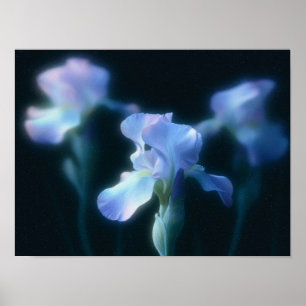 Traumhaft blaue Iris-Blumen-Wandkunstposter Poster