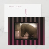 Traumhaft - Postkarte (Vorne/Hinten)