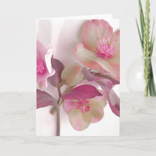 Traumhafte Hellebores-Papierset Dankeskarte (Vorderseite)