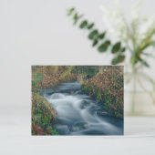 Traumhafte Postkarte (Stehend Vorderseite)