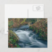 Traumhafte Postkarte (Vorne/Hinten)