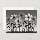 Traumhafte Schwarz-Weiß-Blumen-Schatten Postkarte (Vorne/Hinten)