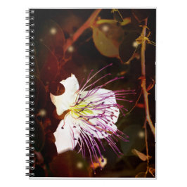 Traumhafte Vintage-Palästina-Kaperblüten-Notizbuch Notizblock