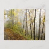 Traumhafter Herbstpark Postkarte (Vorderseite)