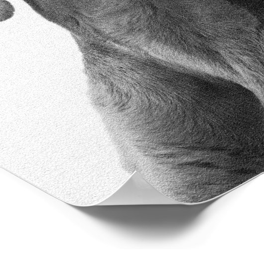 Traumhund Poster (Ecke)