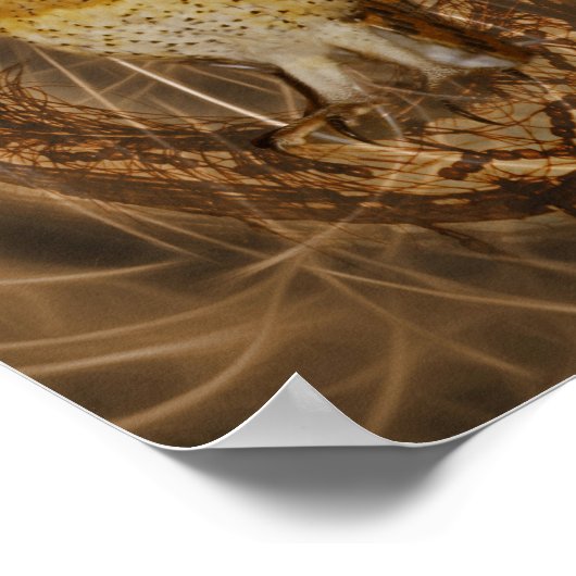 Traumkeule Poster (Ecke)