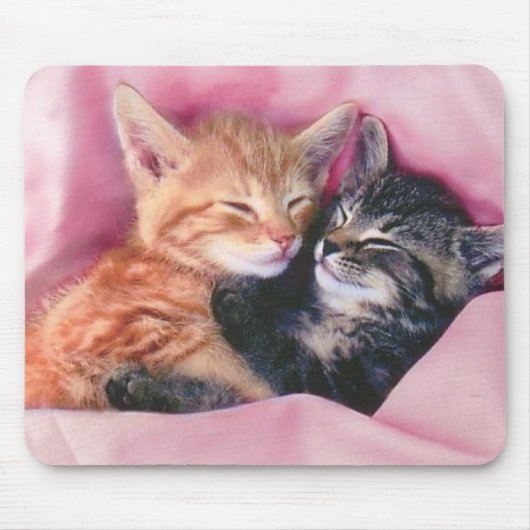 Traumkittenmousepad Mousepad (Vorne)