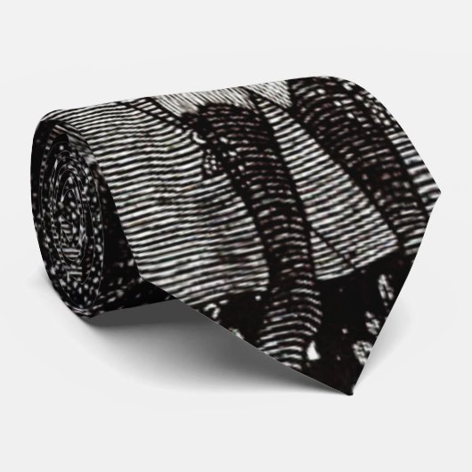 Traumland 1894 krawatte (Gerollt)