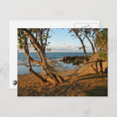 Traumland Postkarte (Vorne/Hinten)