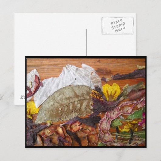 Traumlandschaft Postkarte (Vorne/Hinten)