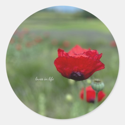Traumroter Mohn Runder Aufkleber (Vorderseite)