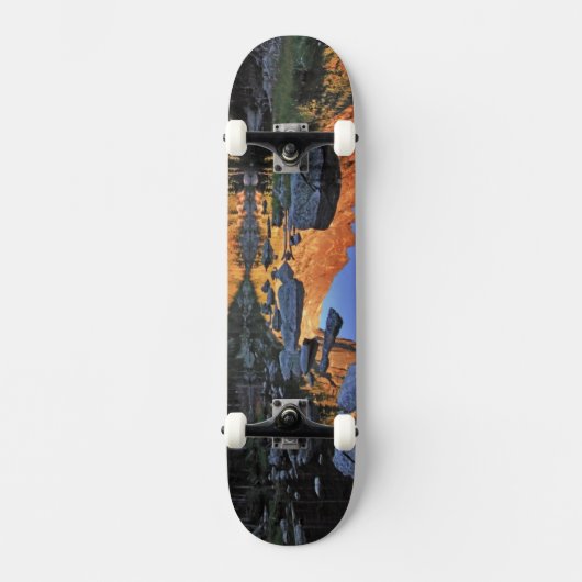 Traumsee Skateboard (Vorderseite)