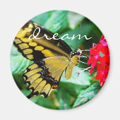 Traumskript für Gelbe Schmetterling-Fotos Magnet (Vorne)