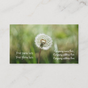 träumt Visitenkarte