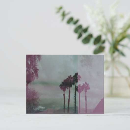 Traumtechniker Palmen Bäume Postkarte (Stehend Vorderseite)