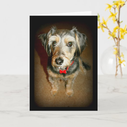 Traurig-Gesichtiges niedliches Hundefräulein You Karte (Gelbe Blume)