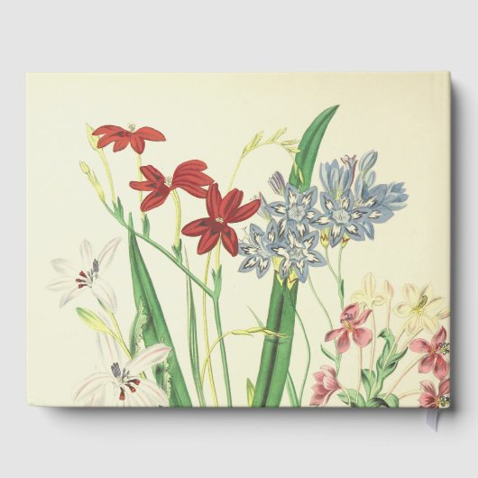 Traurig, konservativ, Erinnerungen Gästebuch (Rückseite)