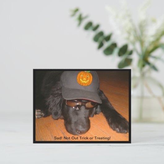 Traurig nicht trick oder Halloween behandeln Postkarte (Stehend Vorderseite)