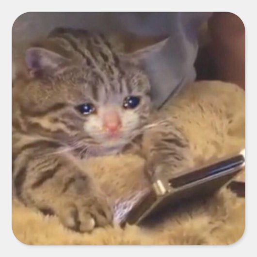 traurige Katze am Telefon Quadratischer Aufkleber (Vorderseite)