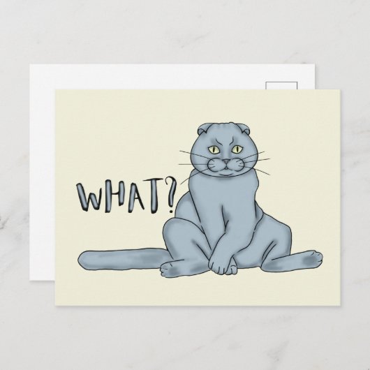 Traurige Katze - was? Postkarte (Vorne/Hinten)