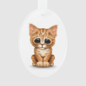 Traurige niedliche orange Tabby-Kätzchen-Katze auf Ornament (Vorderseite)