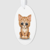 Traurige niedliche orange Tabby-Kätzchen-Katze auf Ornament (Vorderseite)