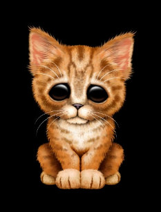 Babykatze Geschenke Zazzle De