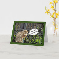 "Traurige Räucherkatze/Beläbter Geburtstag