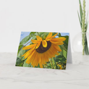 Traurige Sonnenblume Karte