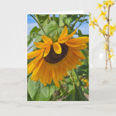 Traurige Sonnenblume Karte (Gelbe Blume)