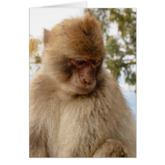 Trauriger Affe