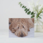 Trauriger, einsamer, entzückender u. niedlicher postkarte (Stehend Vorderseite)